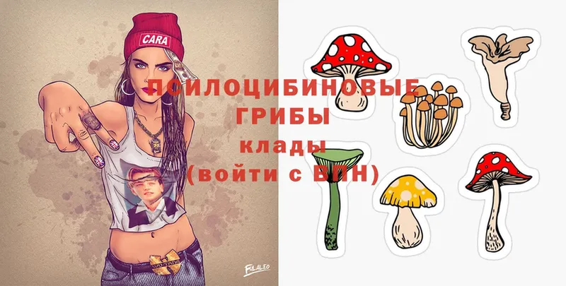 как найти закладки  Павловский Посад  Галлюциногенные грибы Magic Shrooms 